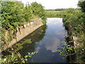 Dock on the Nene near Irthlingborough