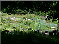 Allotments off Aller Hill, Dawlish