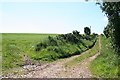 Track to Meikle Blackhill