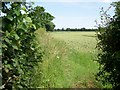 Footpath near Sopworth