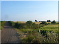 Bridleway view towards Whaley Common