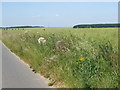 Disused field gateway towards Scabba Wood