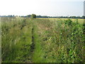 Footpath to Faversham