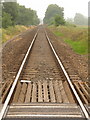 Broom: railway heading for Devon