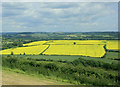 2009 : South east from Maes Knoll