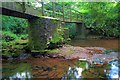 Footbridge, Rhydywernen Farm