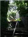 Steps on Wolborough Hill, Newton Abbot