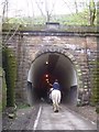 SE2800 : Trans Pennine Trail at Thurgoland Tunnel by Martin Speck