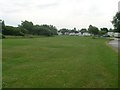 Grass south of Marton Mere