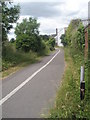 Cycleway heading towards Daisy Lane