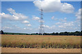 Crop field off Church Road