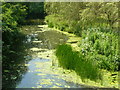 River Eden, Hever, Kent