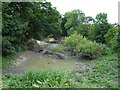 Pond  on  the  Gypsey  Race  almost  dry