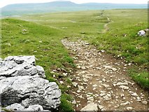 SD7773 : Path from Ingleborough to Horton in Ribblesdale by Andy Jamieson