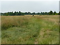 Footpath Near Woodmansterne, Surrey