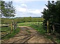 Farm track to Grove Farm, Dowles