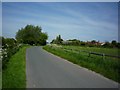 Road into Newton Upon Derwent