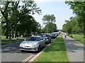 Road in Stanley Park