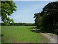 Footpath to Allerthorpe Common