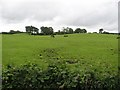 Ranelly Townland