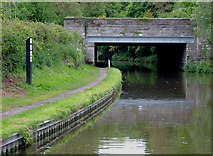SJ8120 : Railway bridge near Gnosall Heath, Staffordshire by Roger  D Kidd