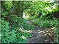 Footpath, Maiden Bradley