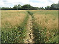 Footpath to Worsenden Green