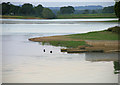 Blagdon Lake