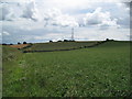 Farmland near Newton