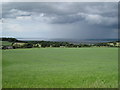 Farmland near Mickledale