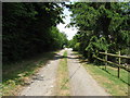 Bridleway through Strood Farm