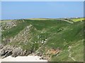 Coastal footpath above Porthchapel beach