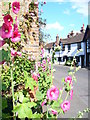 The Street, Wonersh