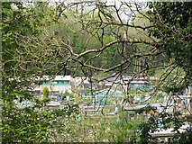 NZ2665 : Allotments in Jesmond Vale by Mike Quinn