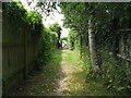 Bridleway gate onto South Road