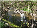 Small waterfall on Middlehope Burn