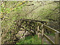 Footbridge over Middlehope Burn