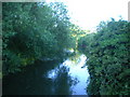 TF9843 : Looking downstream on the River Stiffkey by Richard Law
