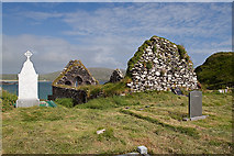 V5258 : Abbey Island Friary by Mike Searle