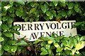 Street sign, Derryvolgie Avenue, Belfast (2of3)