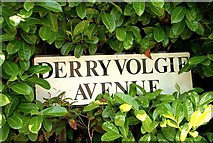 J3371 : Street sign, Derryvolgie Avenue, Belfast (2of3) by Albert Bridge
