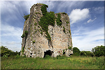 R6111 : Castles of Munster: Castle Pook, Cork by Mike Searle
