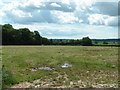 SS9000 : Field in mid Devon by Rob Purvis