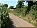 SX8799 : Lane near Wyke Cross by Rob Purvis