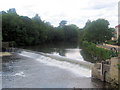 Weir at Wetherby