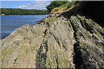 SX4460 : Rocky foreshore - River Tamar by Mick Lobb