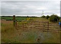 Gate near Highwood Farm