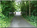 Peatlands Park at the rear car park