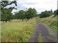 Public footpath, Loton Park