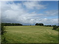 Pasture at West Middles Farm near Lilliesleaf